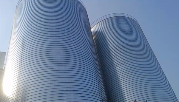 前进2座混凝土高架卷板仓